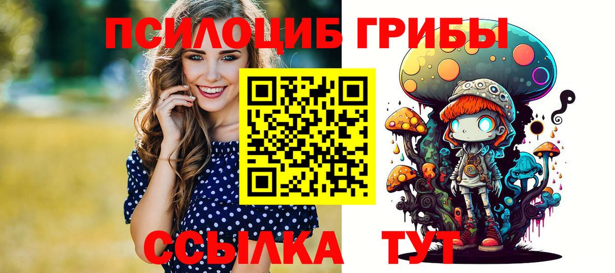 Батайск  Псилоцибиновые грибы Psilocybe  Вход с VPN 