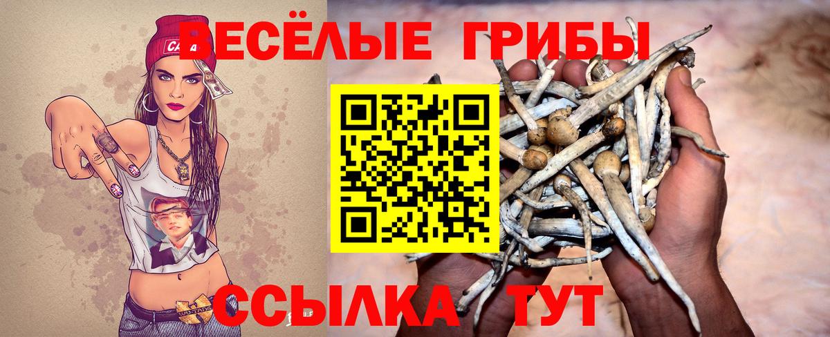 Псилоцибиновые грибы прущие грибы Батайск